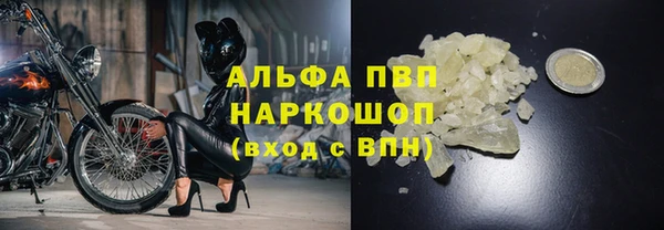 Альфа ПВП Ладушкин