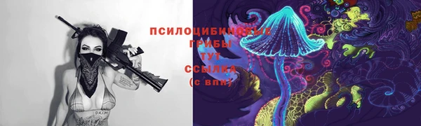 Альфа ПВП Ладушкин